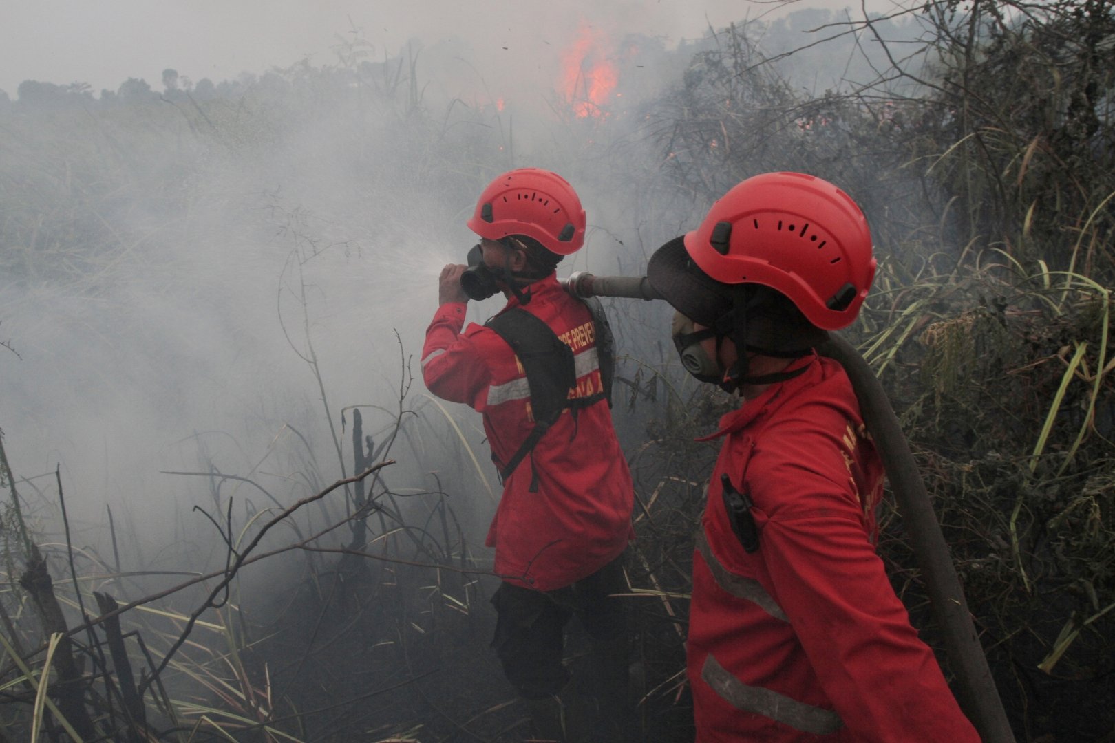 Firefighters attempt to extinguish a wildfire burning through a peatland field in Ogan Ilir, South Sumatra, Indonesia, Monday, Aug. 24, 2026. [Muhammad Hatta/AP]