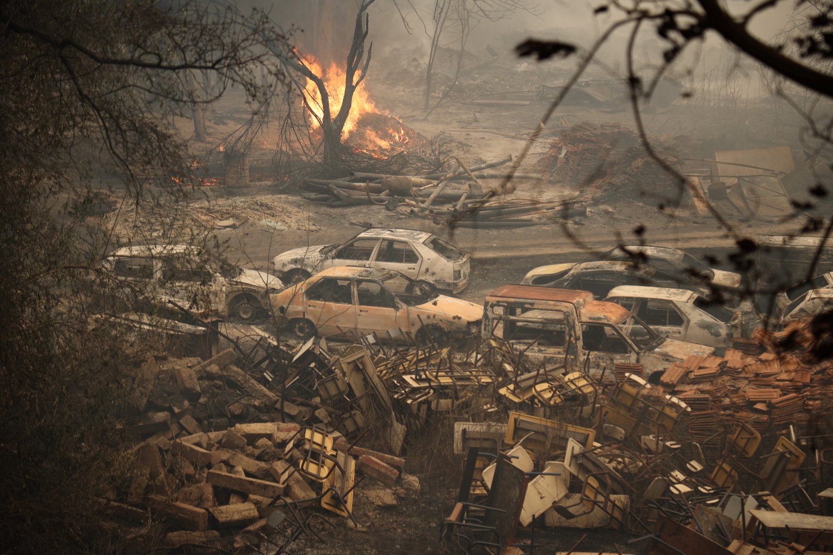 A wildfire burns through a forest in Jijel, Algeria, Thursday, Aug. 27, 2026. [AP Photo]
