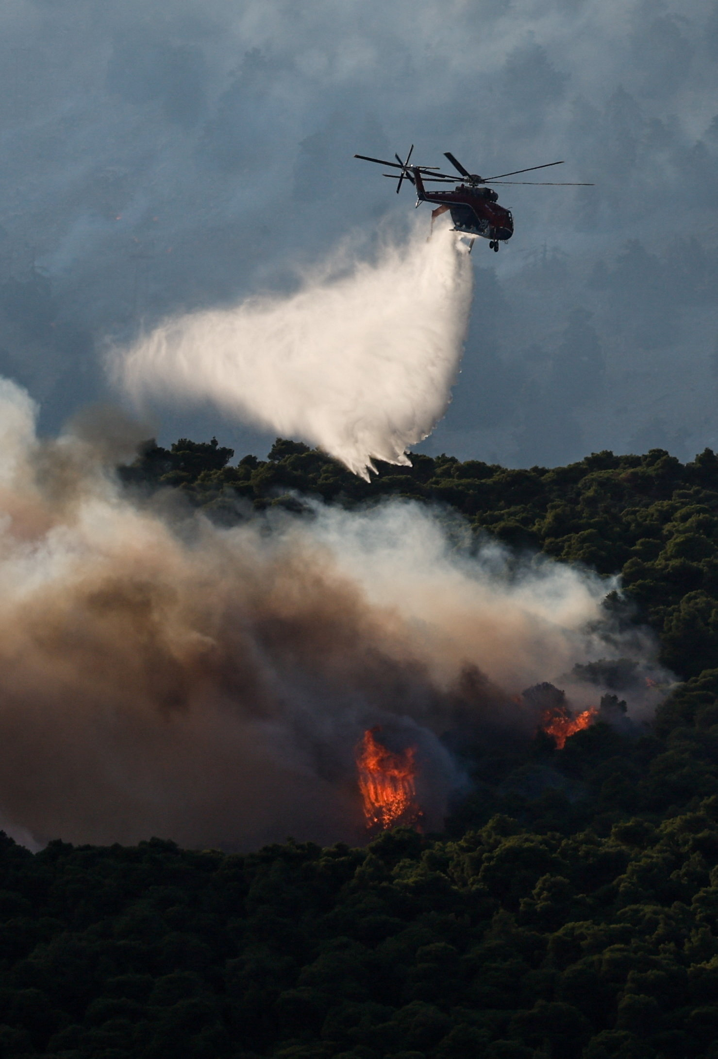 A firefighting helicopter drops water during a wildfire in Krio Pigadi, Greece, August 1, 2026. REUTERS/Louisa Gouliamaki