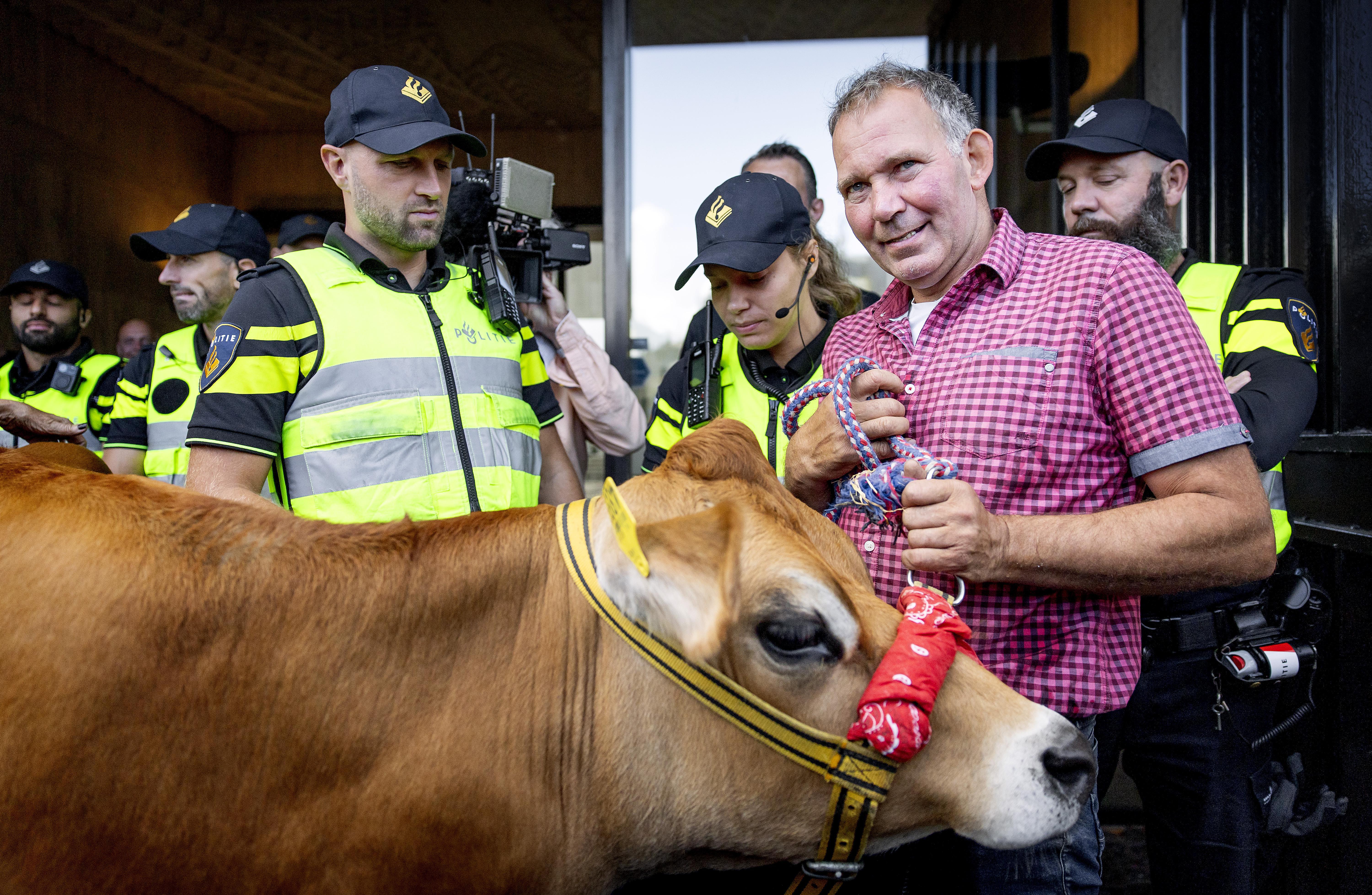 A farmer stands next to a cow during a protest on September 16 at the Gelderland Provincial House in Arnhem, Netherlands, where farmers are protesting against the Dutch cabinet’s nitrogen plans