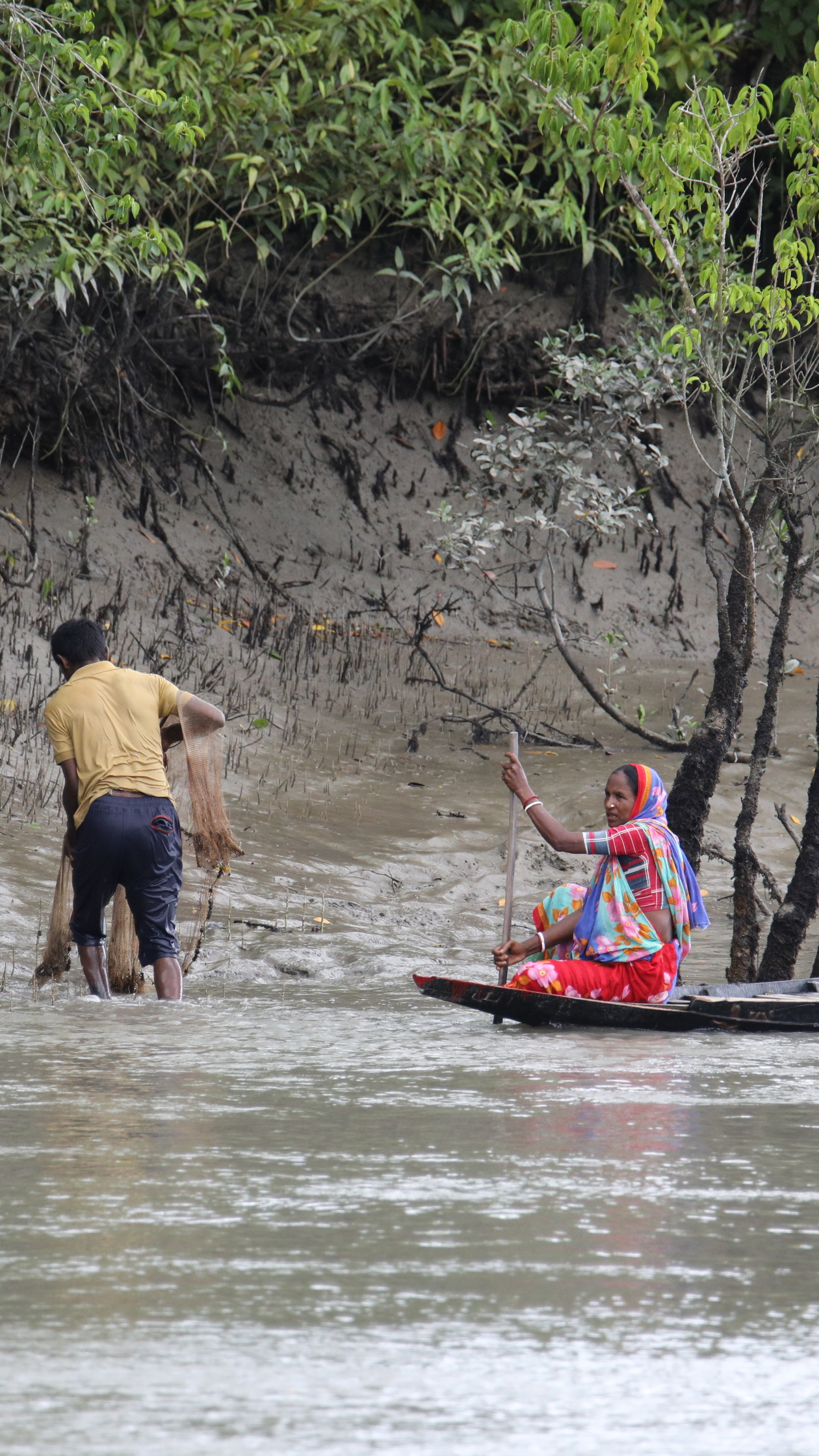 A boat crosses the waterways of the Sundarbans, where rising salinity is reshaping the forest and the lives of communities around it