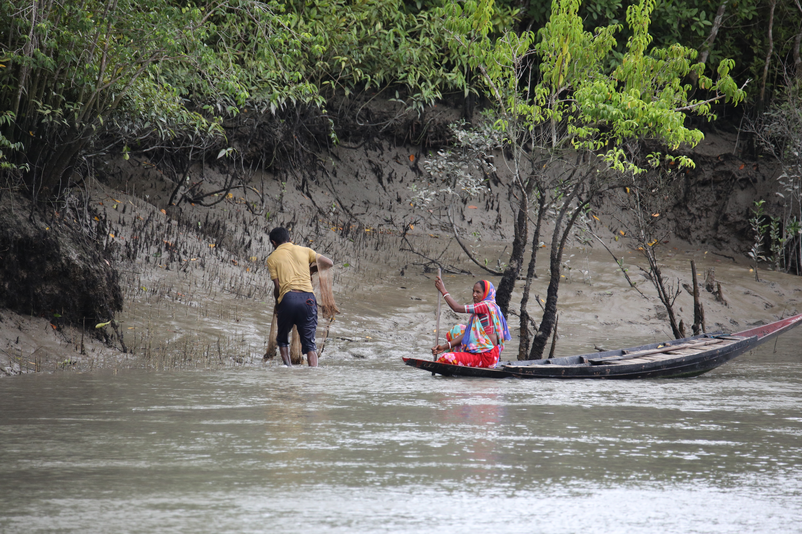 A boat crosses the waterways of the Sundarbans, where rising salinity is reshaping the forest and the lives of communities around it
