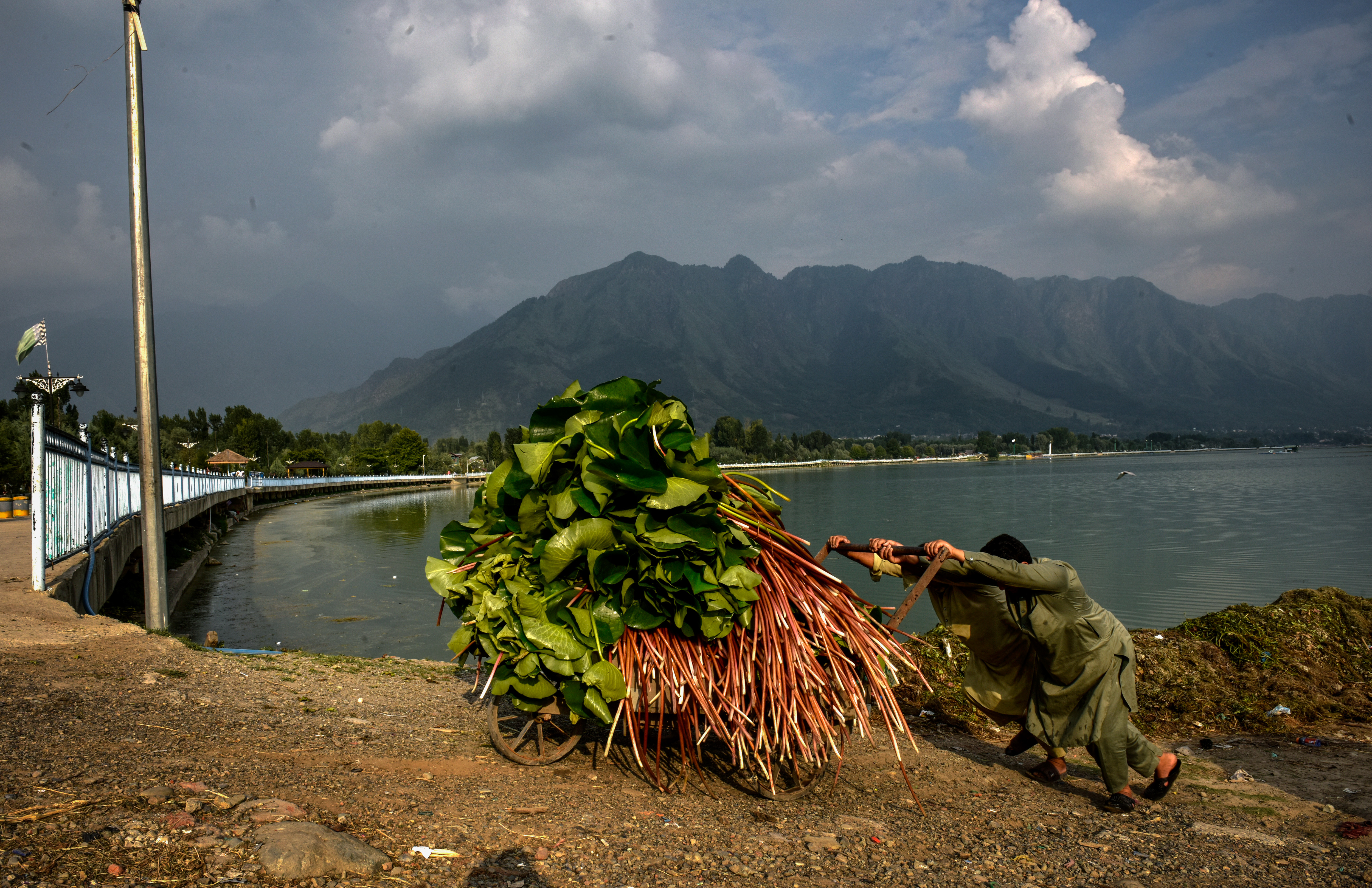 Kashmir's iconic Dal Lake faces environmental and climate challenges