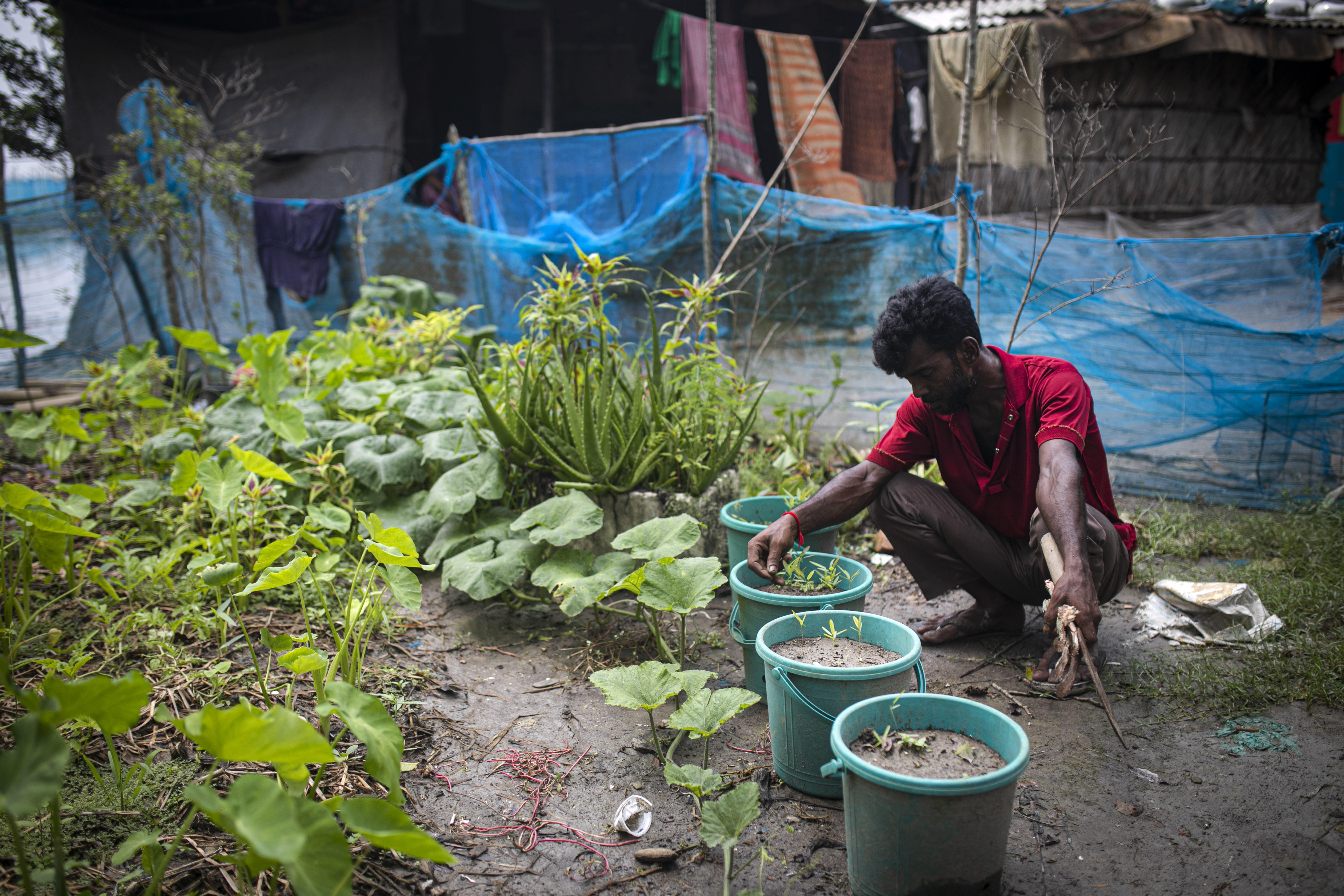 Suranjan inside his medicinal garden