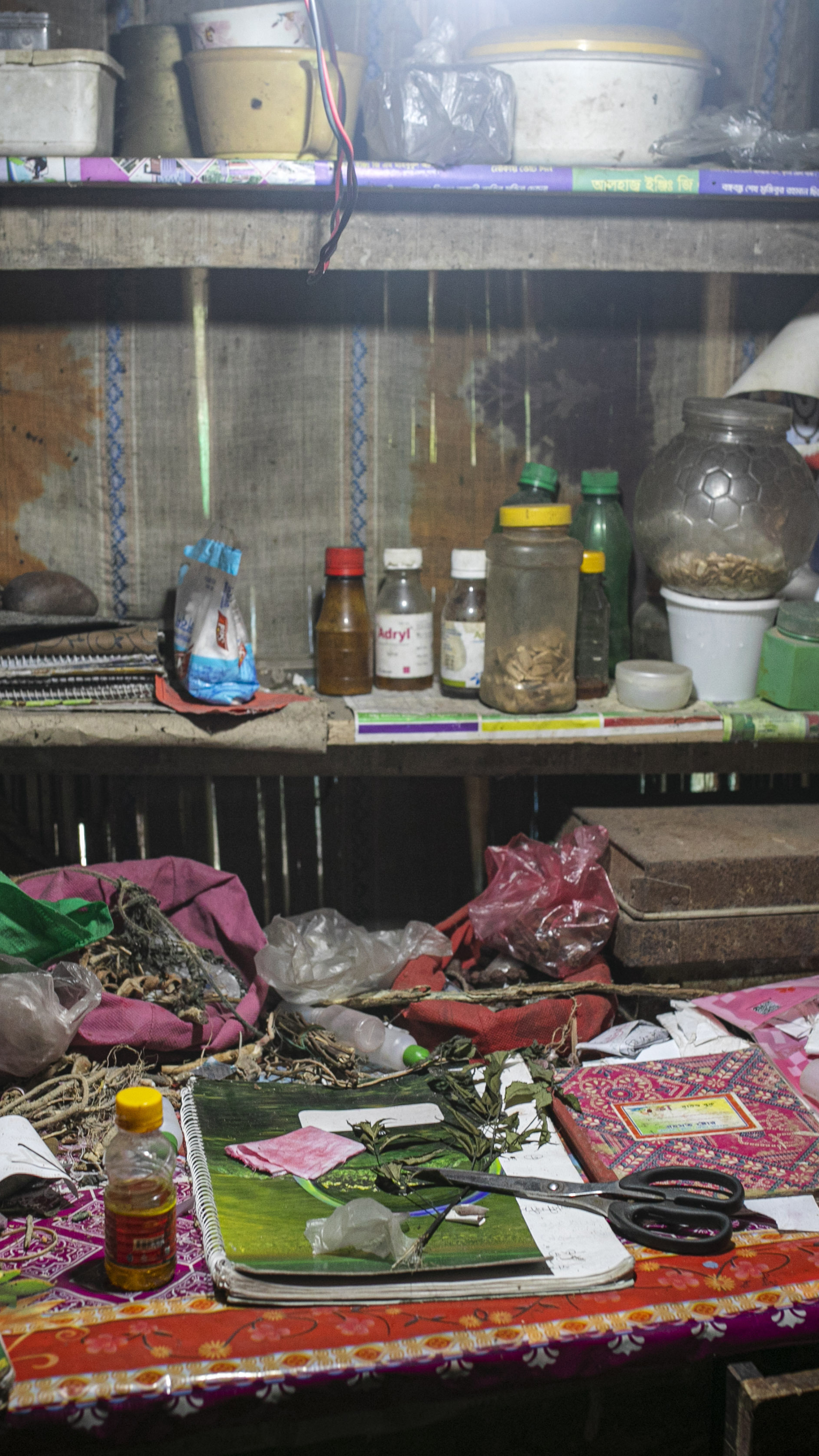 Medicinal plants and traditional remedies fill Suranjan Raptan’s medicine cabinet in Koyra