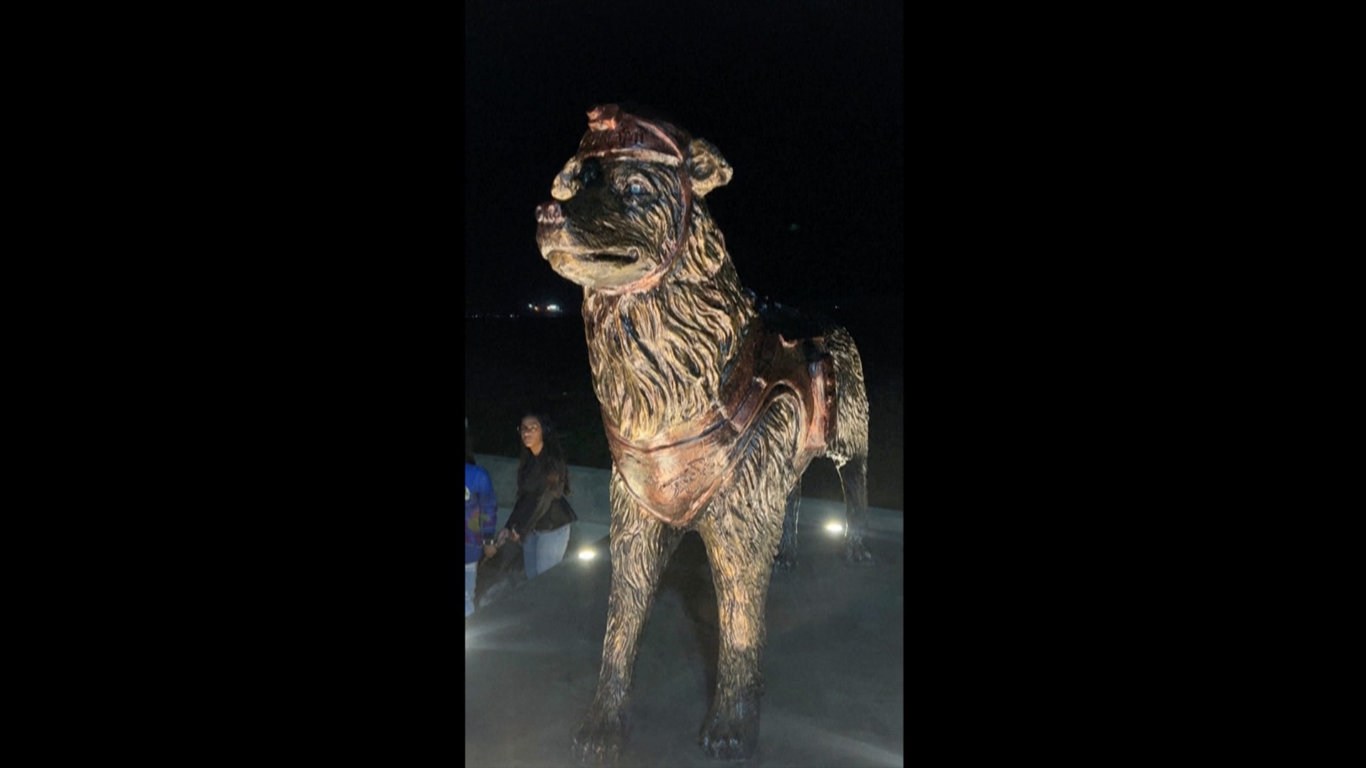 Venezuela quakes rescue dog ‘Tsunami’ honoured with statue