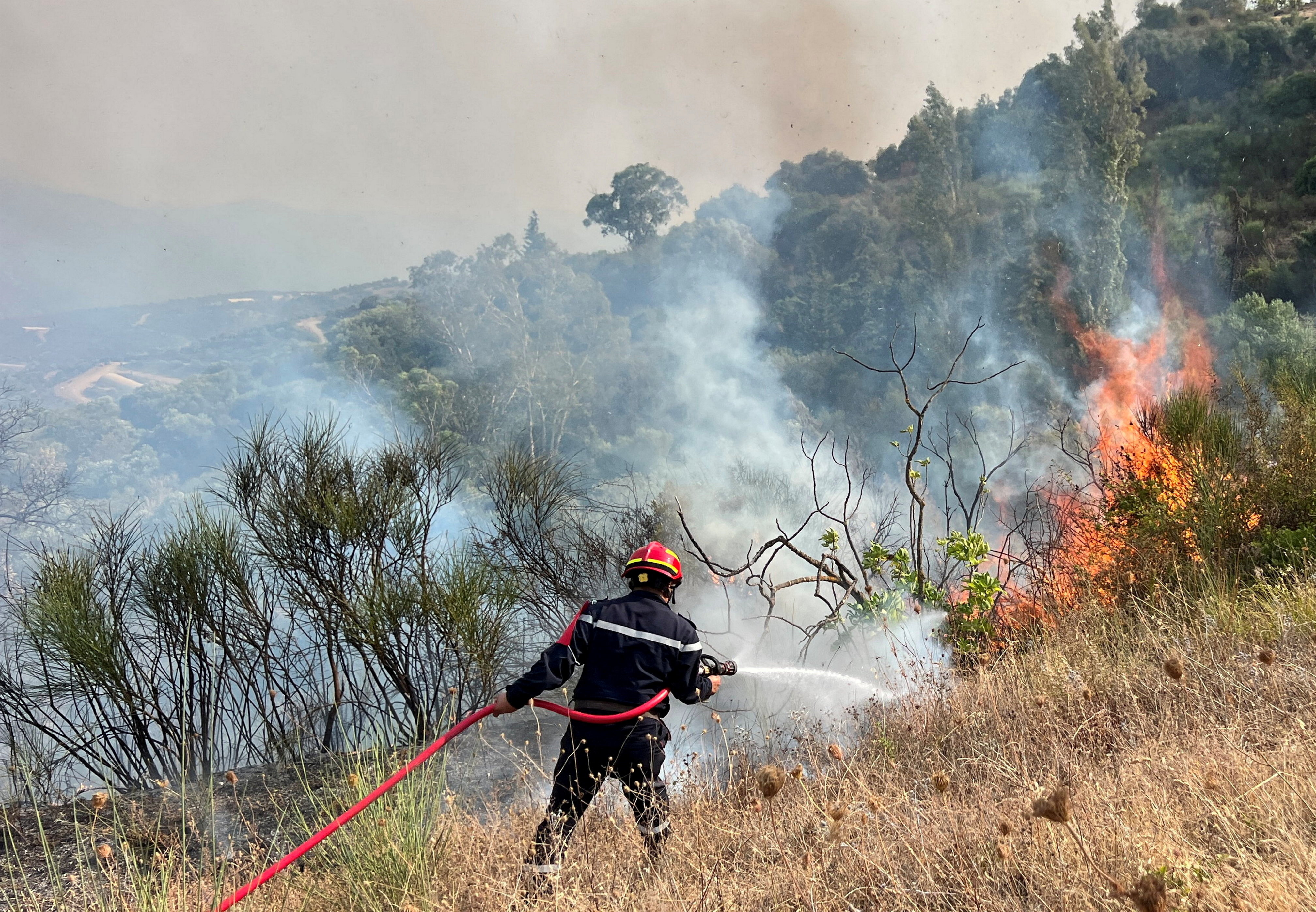 A firefighter works to extinguish a fire, as a wildfire due to rising temperature sweeps through several villages in the mountainous Bejaia province, in Taourirt Ighil, Algeria, August 19, 2025. [Abdelaziz Boumzar/Reuters]