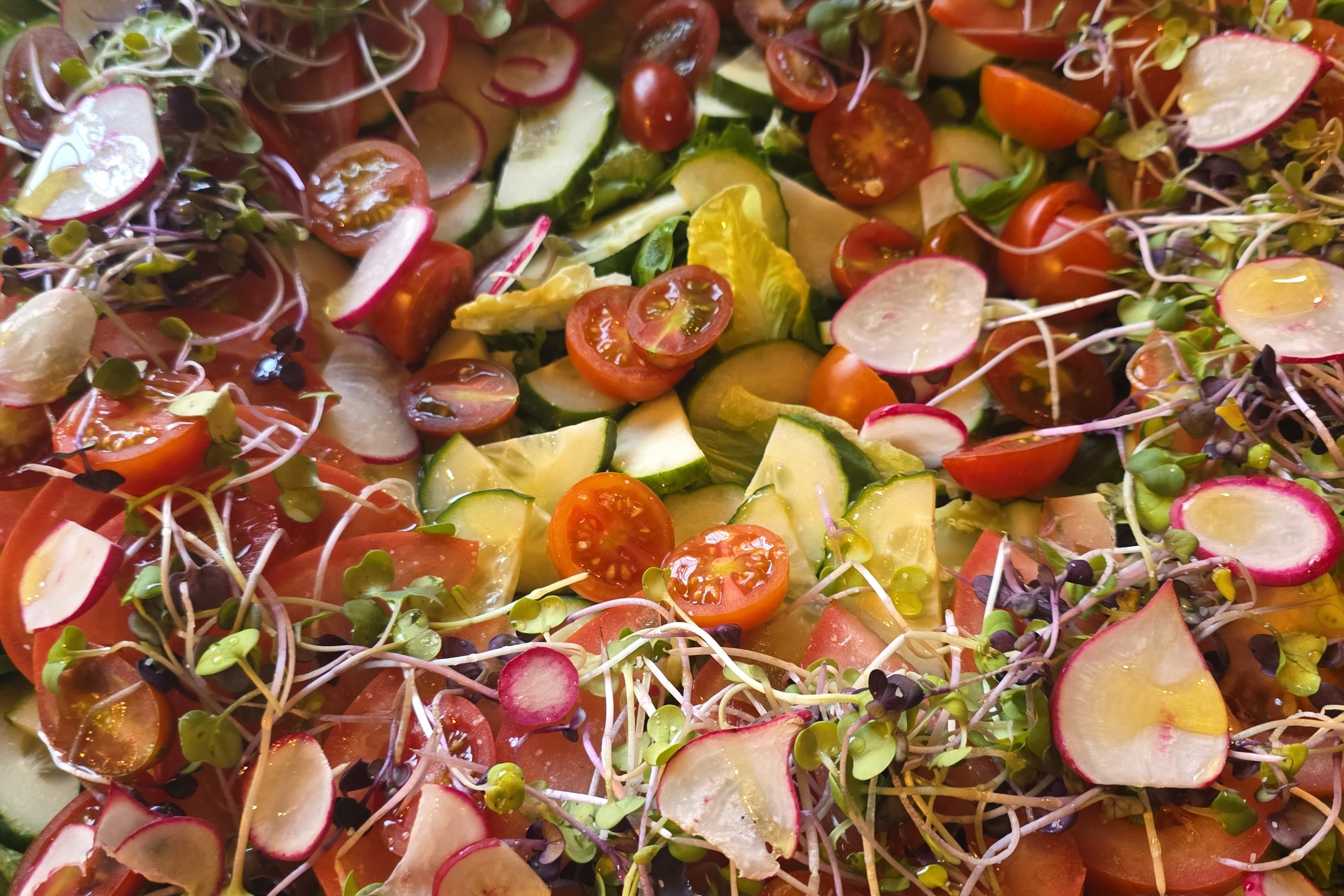A fresh salad prepared by resident chef Shama Rahman [Courtesy Henrietta Szovati]