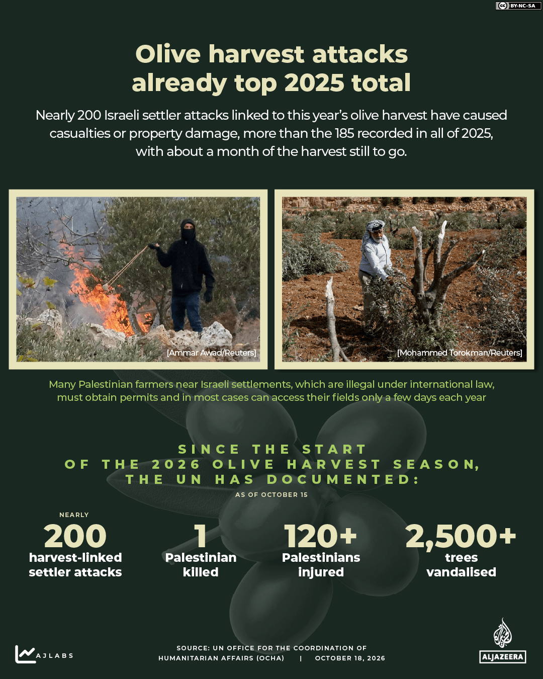 INTERACTIVE - Olive harvest Israeli settler attacks occupied West Bank 2026 Palestine-1792312655