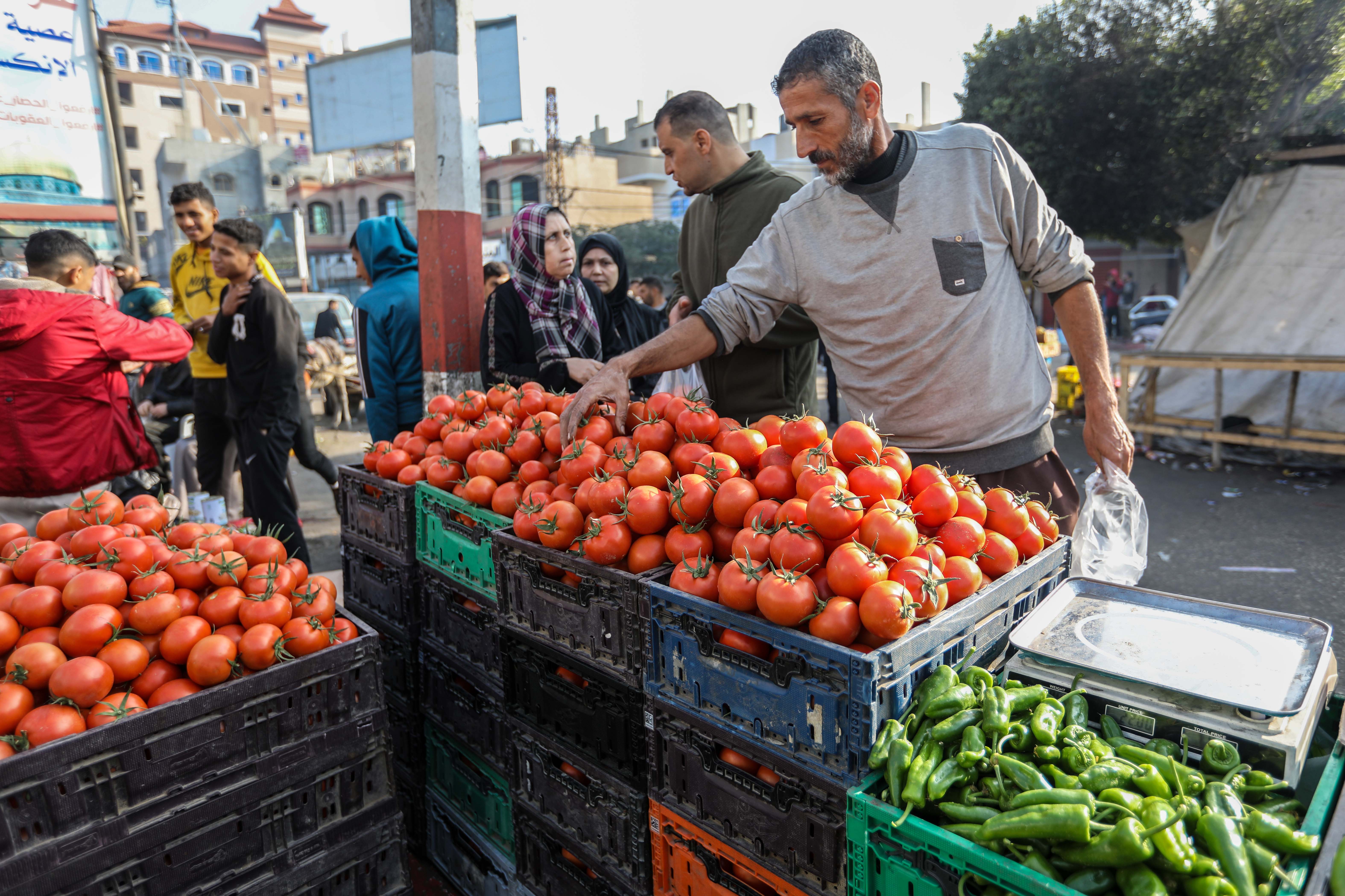 RAFAH, GAZA - JANUARY 1: Displaced citizens work to buy food, fruits and vegetables needed during the war from the popular market on January 01, 2024 in Rafah, Gaza. More than 21,300 people have been killed in Gaza since the start of the war on Oct. 7, according to the Hamas-run health ministry. The new year saw fresh waves of displacement from central Gaza to the south as Israel intensified its combat operations there. Amid the widespread displacement caused by the war, 93 per cent of 2.3 million Gazans are "acutely food insecure," according to the World Food Programme. (Photo by Ahmad Hasaballah/Getty Images)