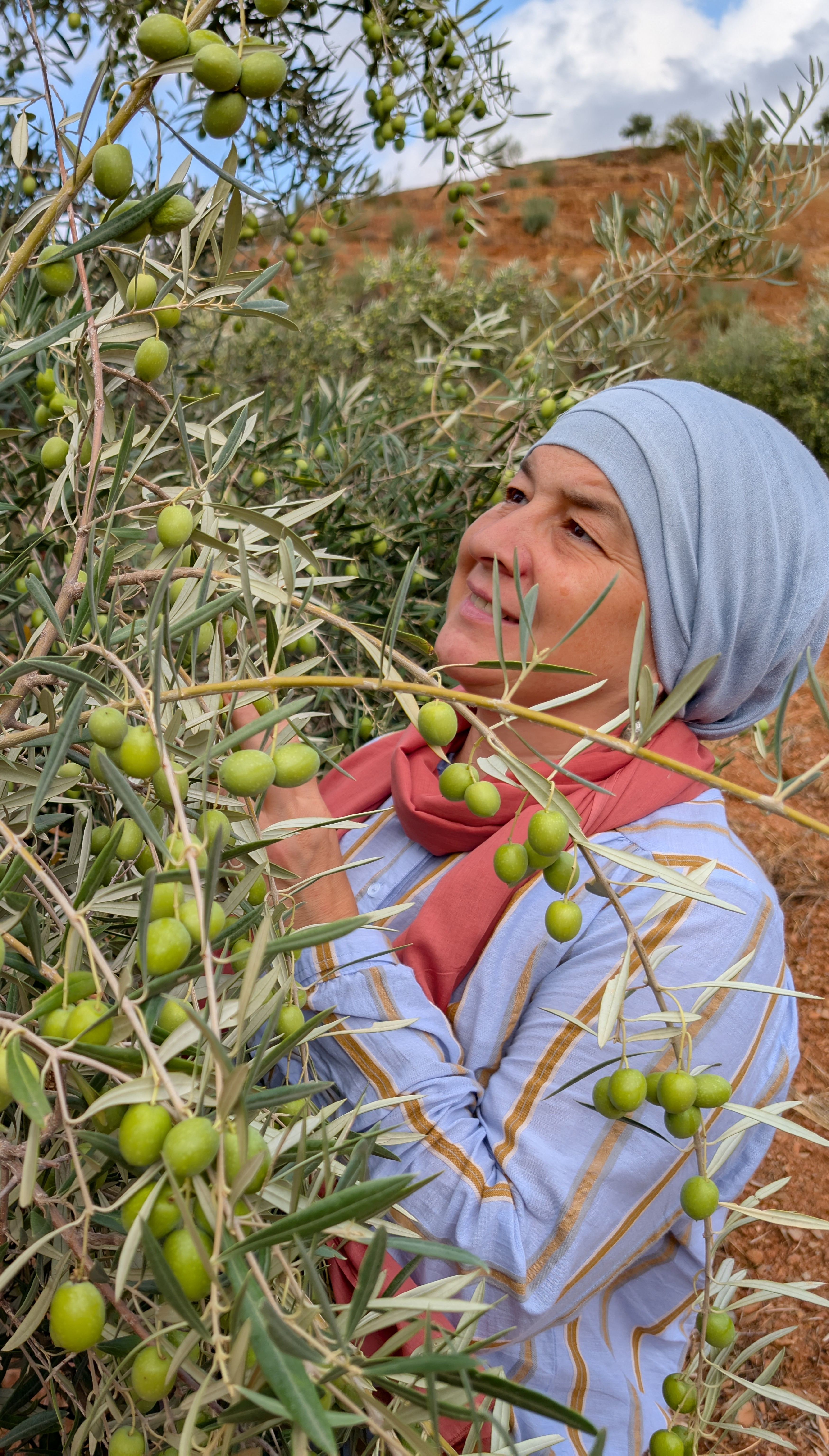 Henrietta Szovati inspects olives growing on the land surrounding House of Andalus, in the mountains above Alora, southern Spain