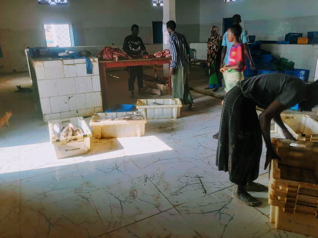 The local fish market in Bander Beyla, on Somalia’s Puntland coast [Al Jazeera]